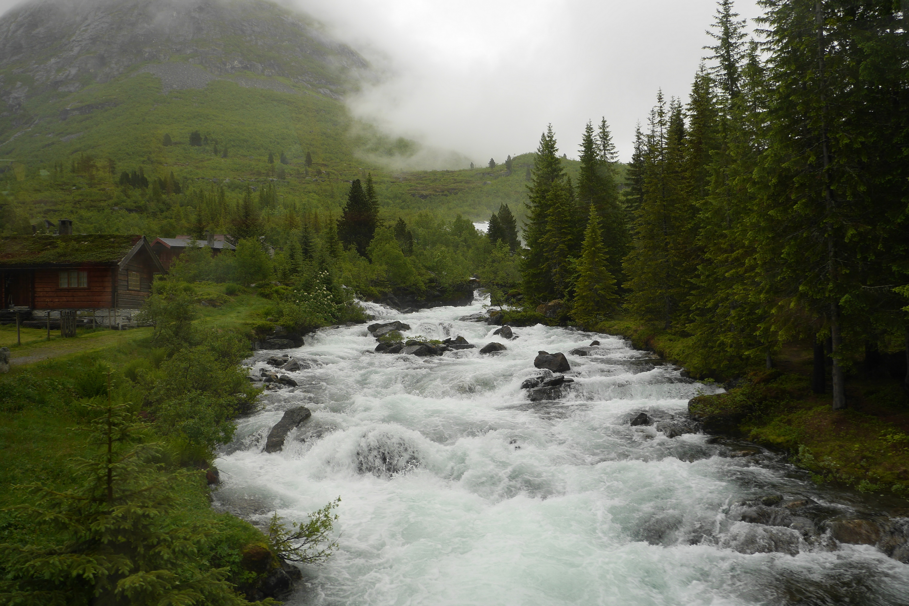 Busausflug Geiranger mit Trollstigen